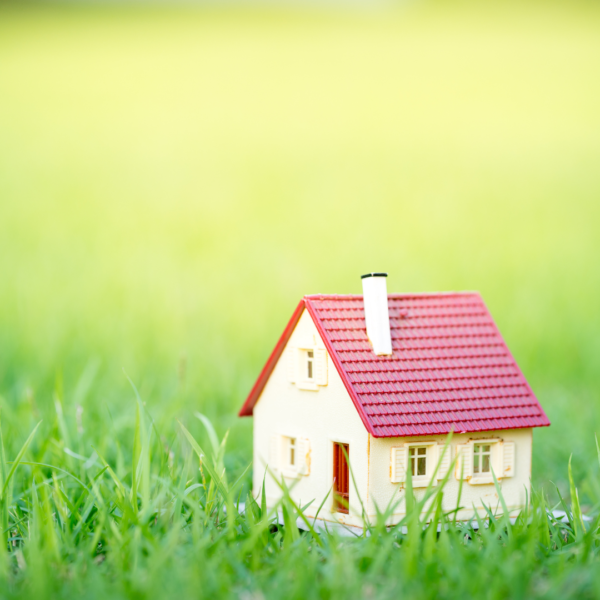 Home in grass